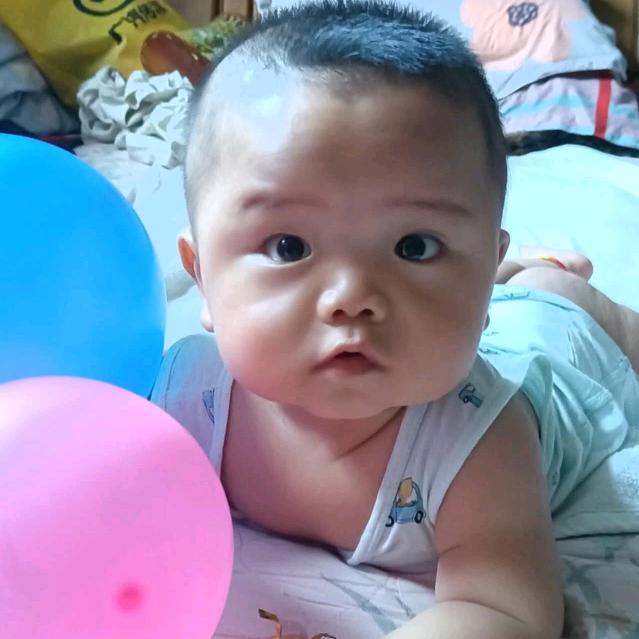 *紫气东来！瑞瑞！