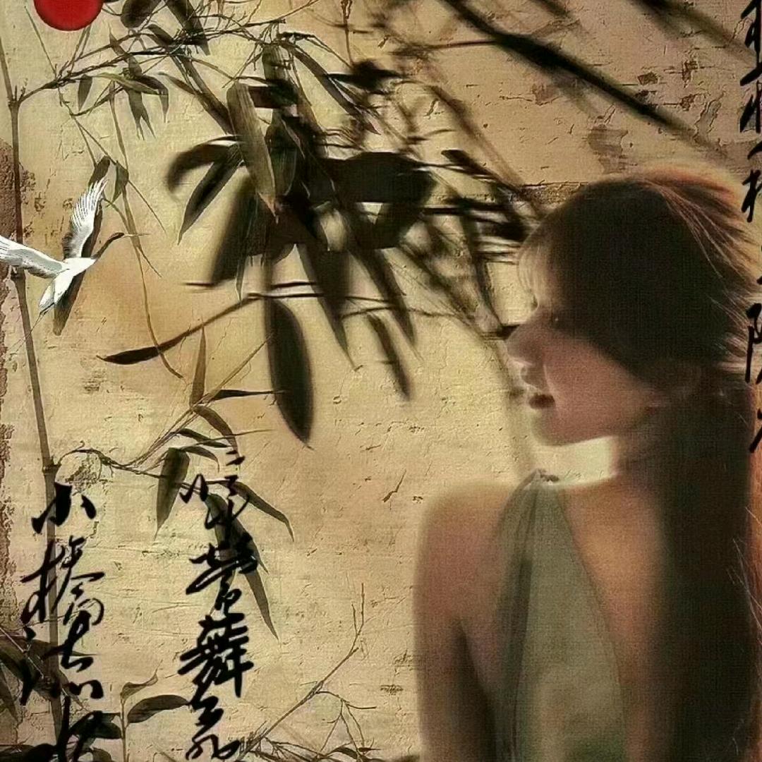 星屿露