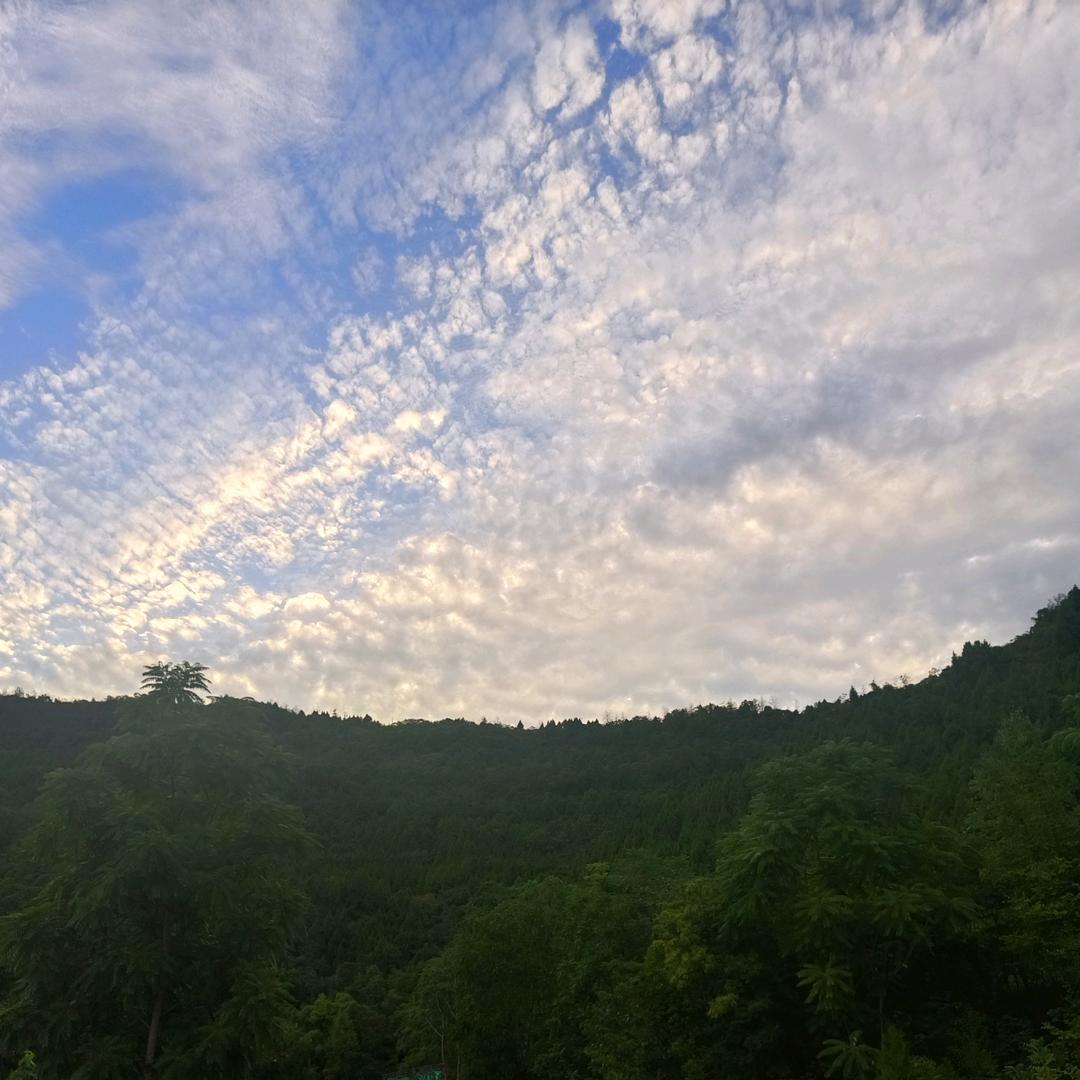 曾的还不错