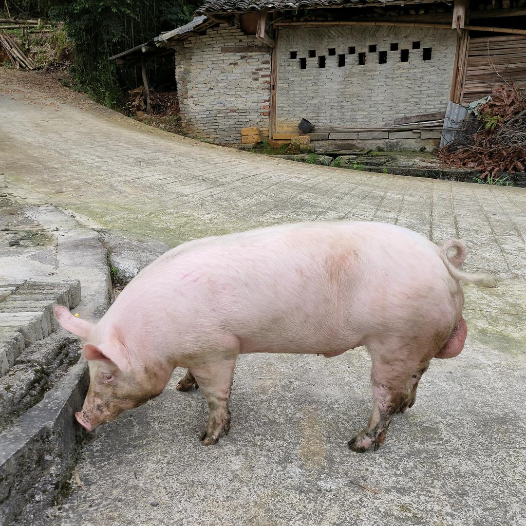 钱男人