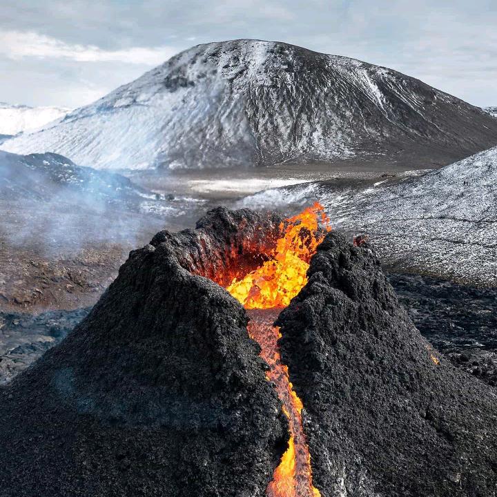 翠香园熟食：兴达菜市场店