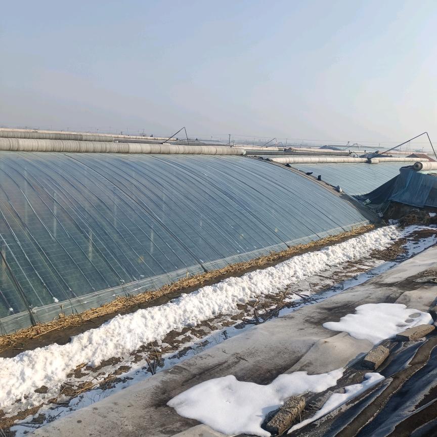 诚信温室工程有限公司