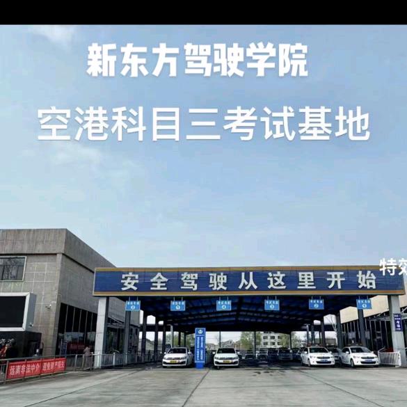 独霸天下