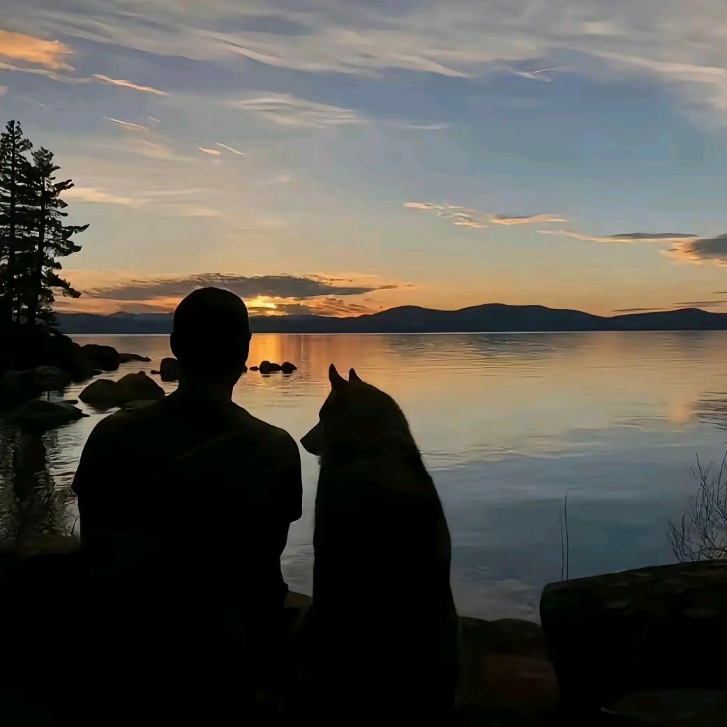 今天开飞机🛩️