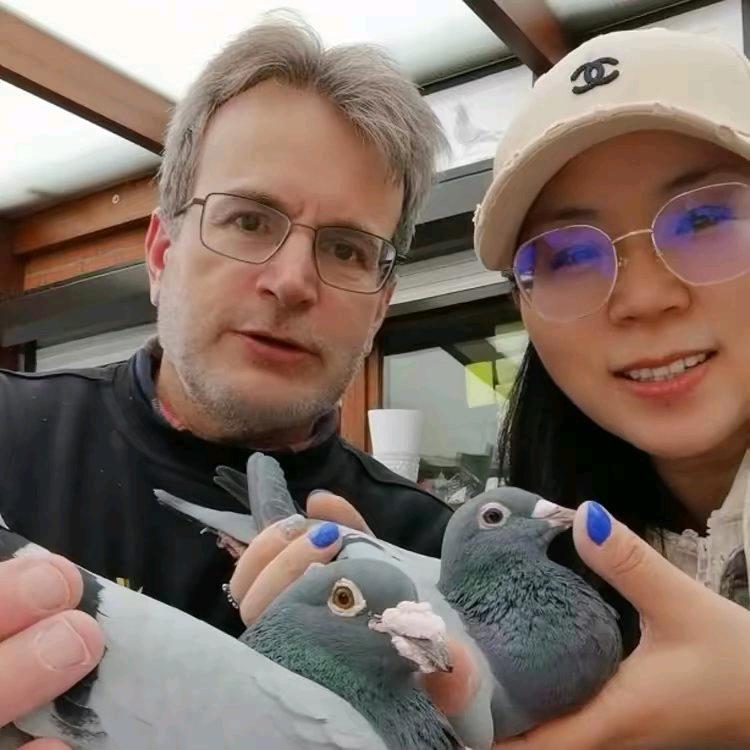 油人荐鸽网刘姐