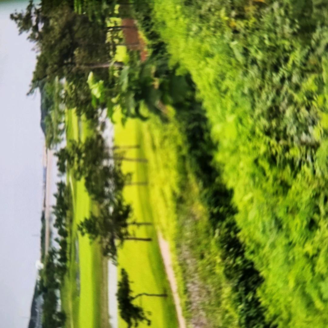 顺起自然