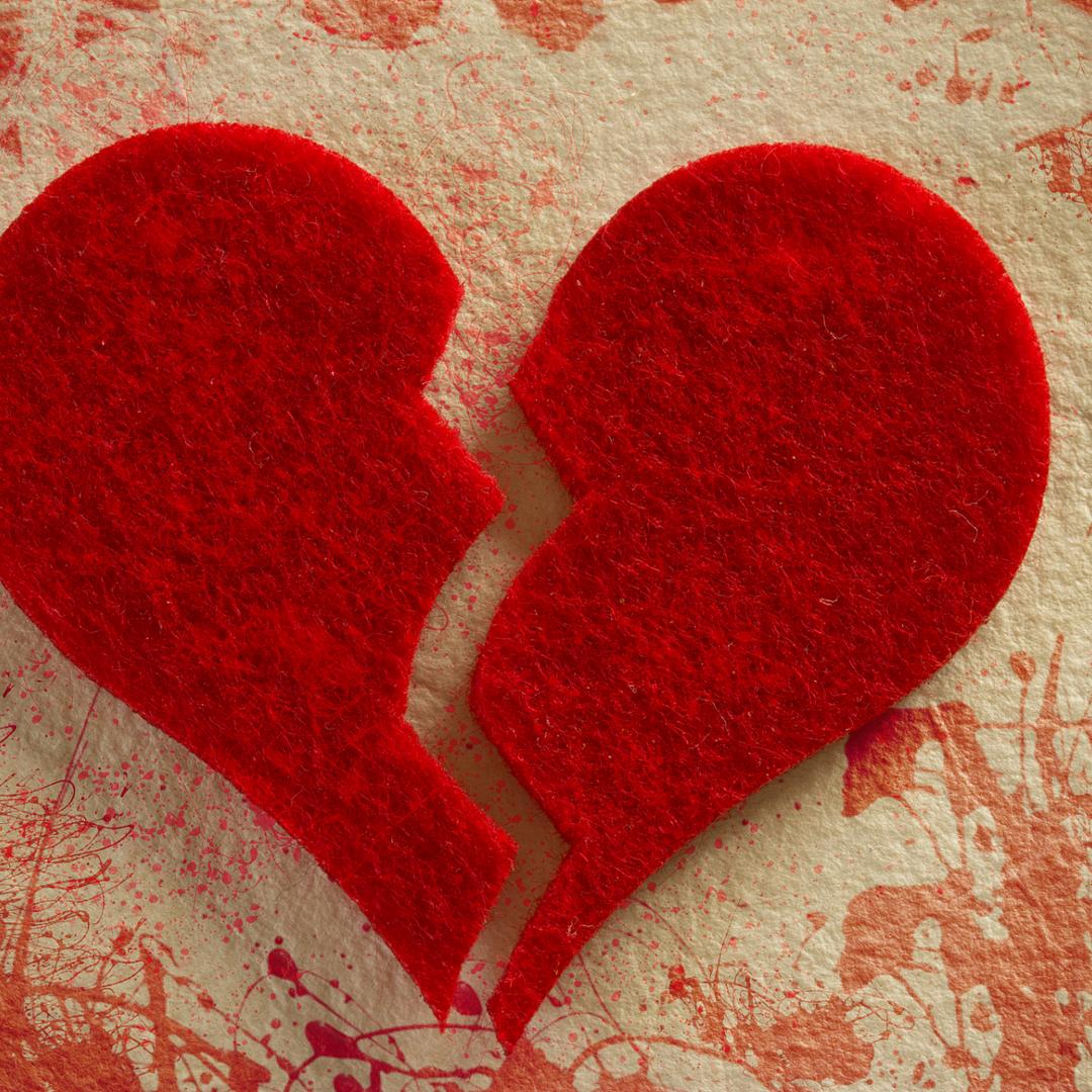 ℳ🥀余生敬烈酒