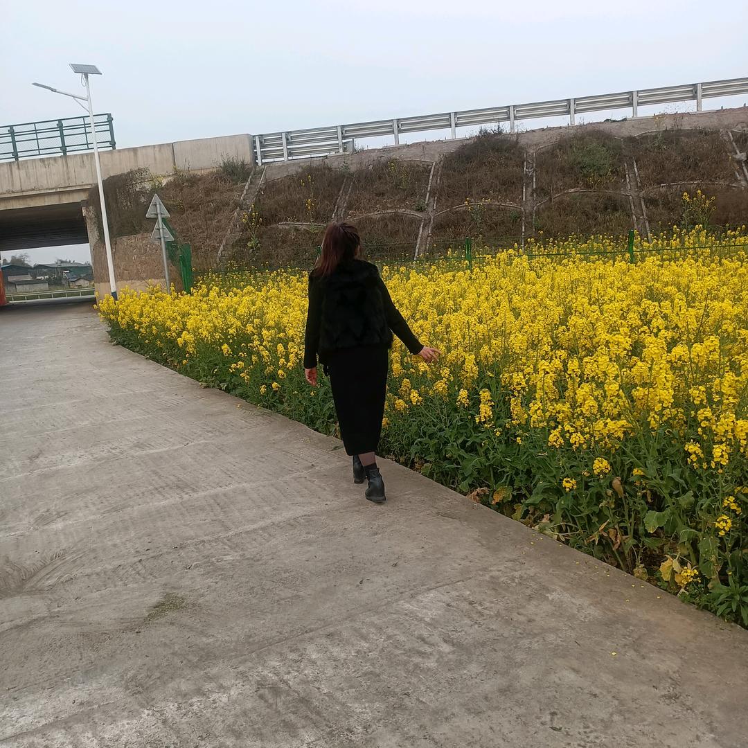 开心