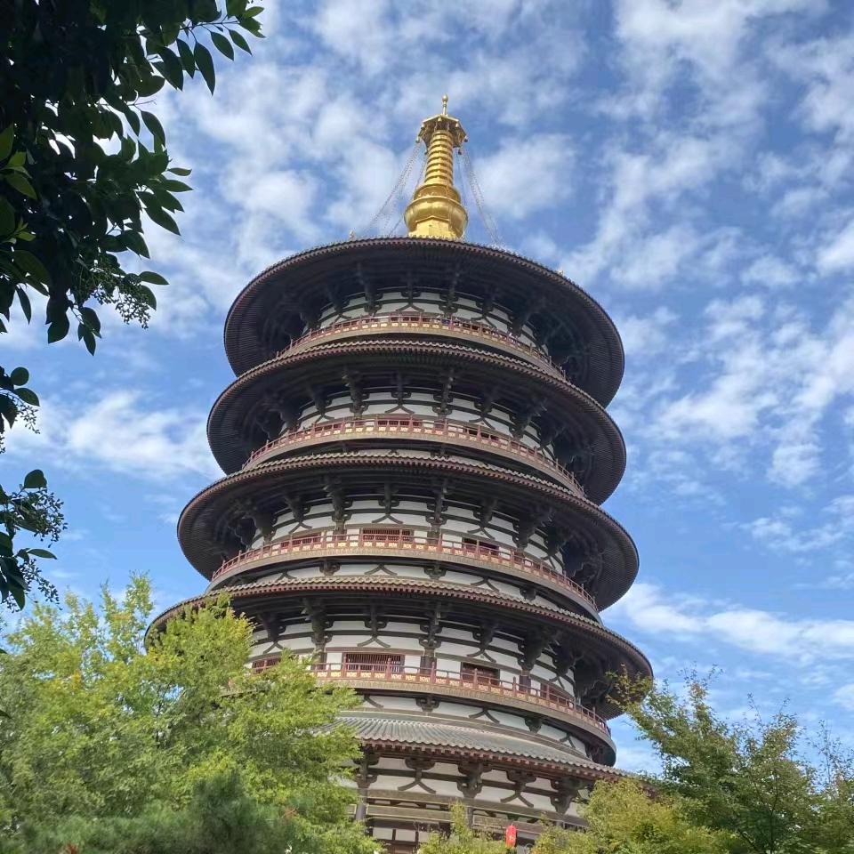 枫叶🍁