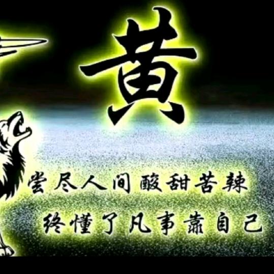 河源有情