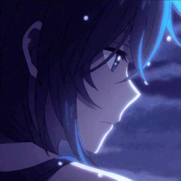 小蓝很稳健