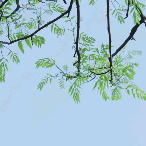 衣衣不舍