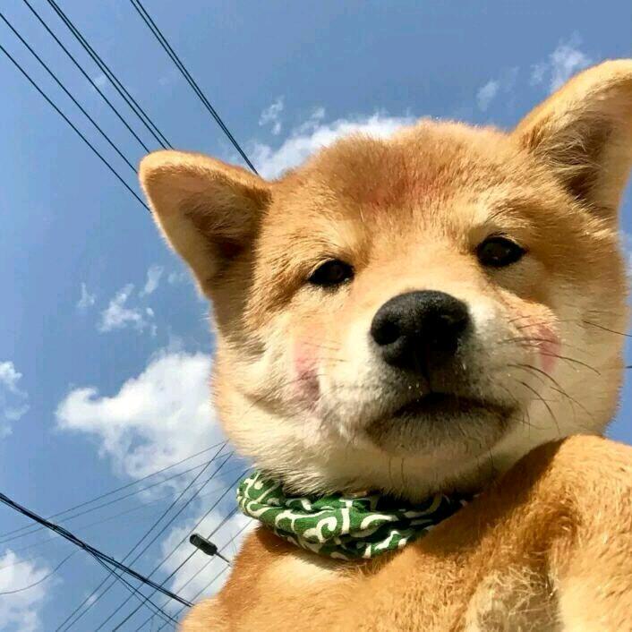 庸人自扰