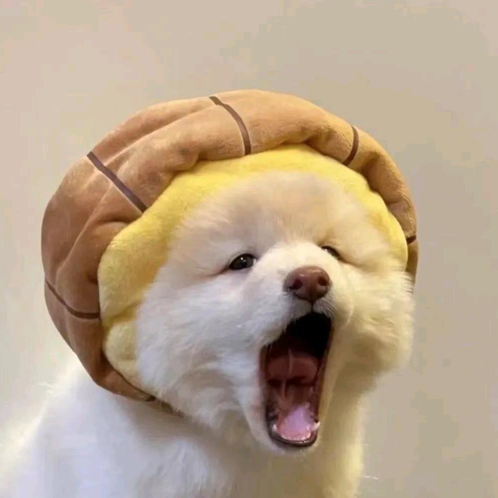 已签收快乐❥