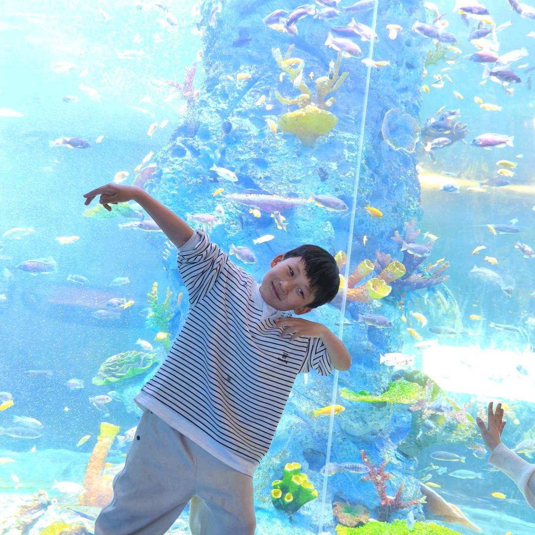 🌜夜🌛叩问初心