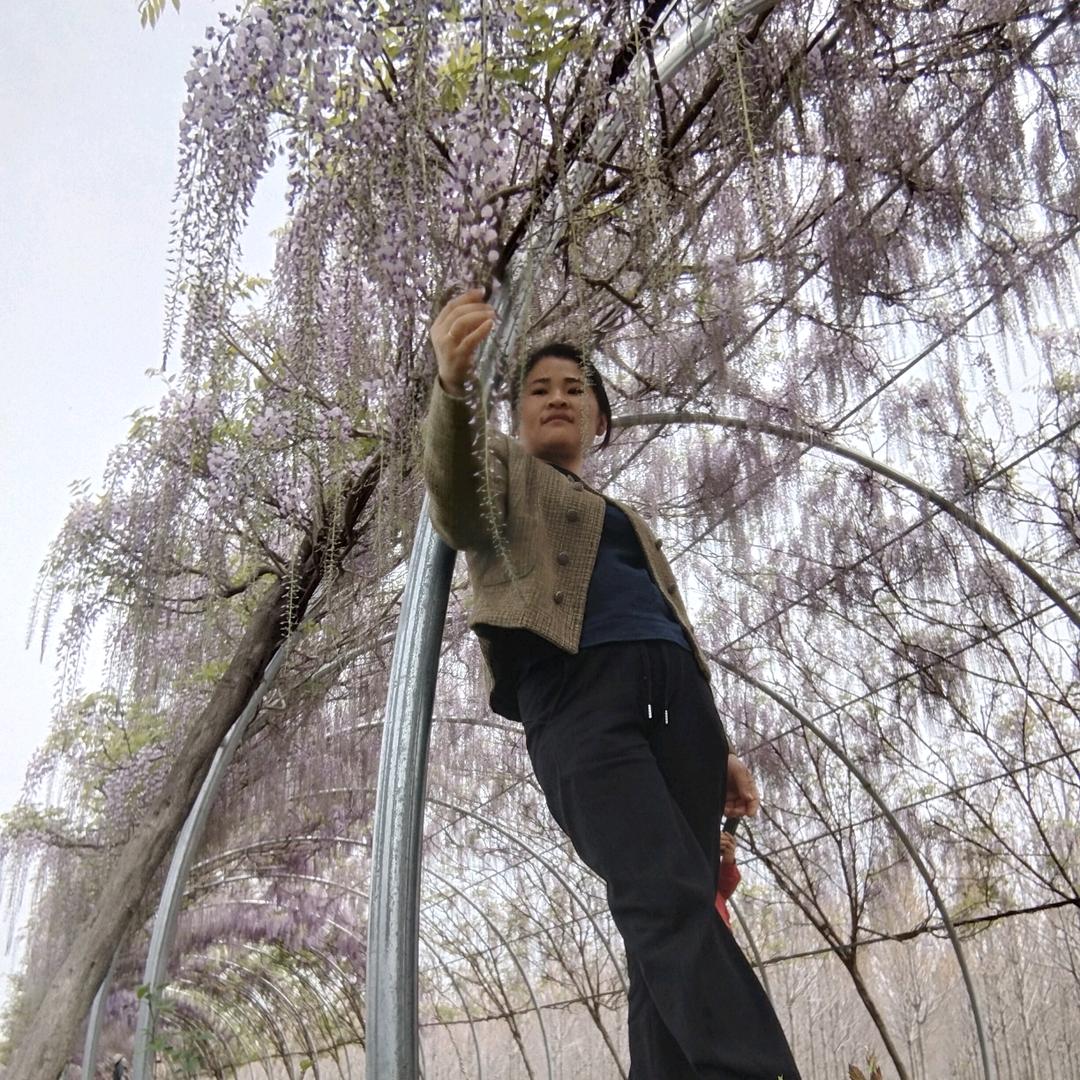 我就是我