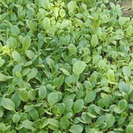 起名字的就不是好人！！！