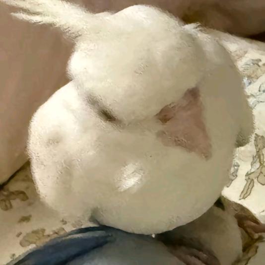 击拉前击宿古宿蝶说曲说勘记曲决战测品之巅