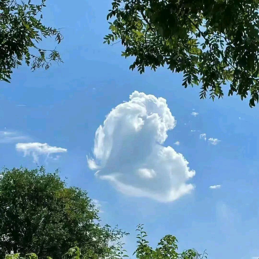 🐋三寸天堂