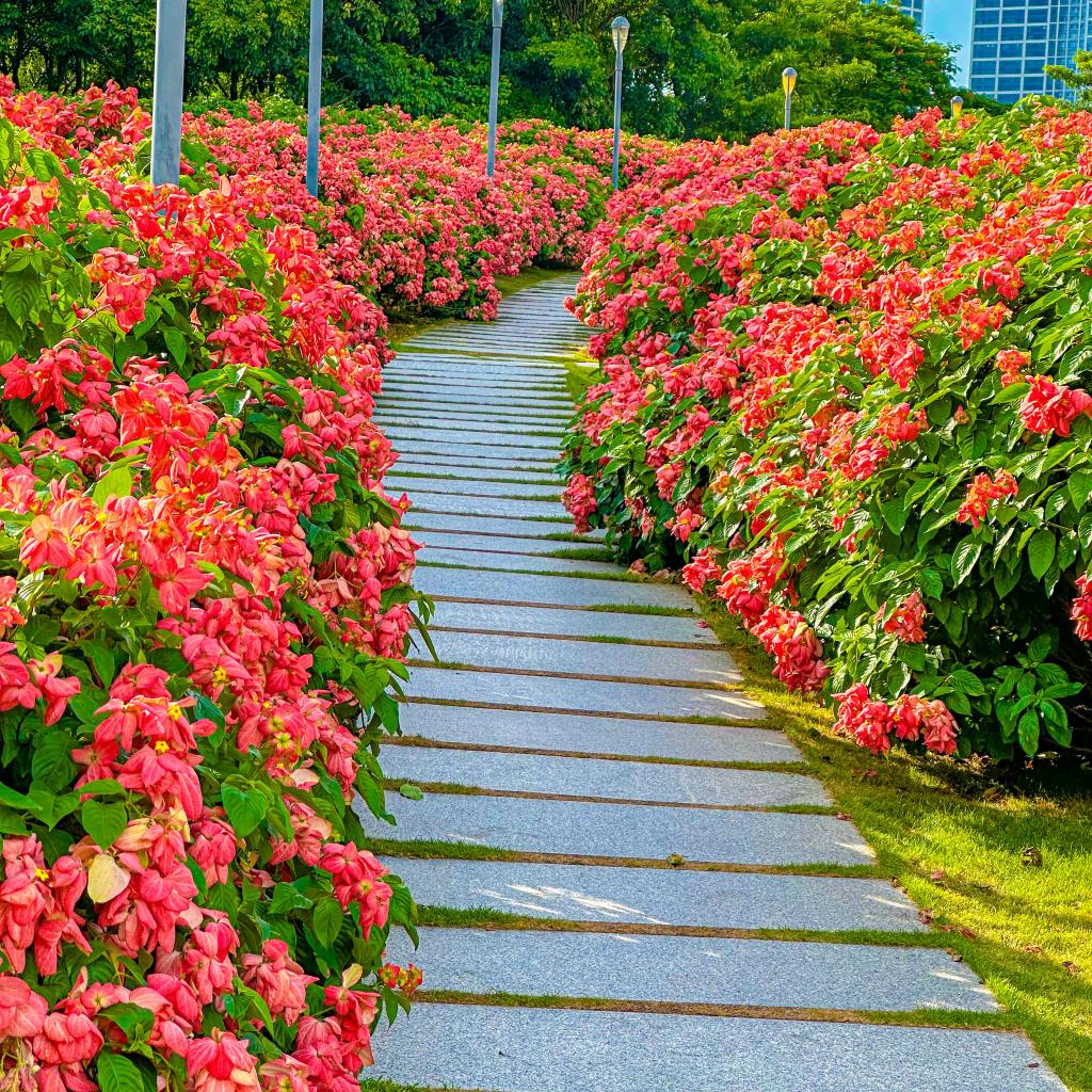 乐乐呵呵一家人