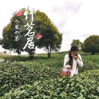 竹茗居茶馆