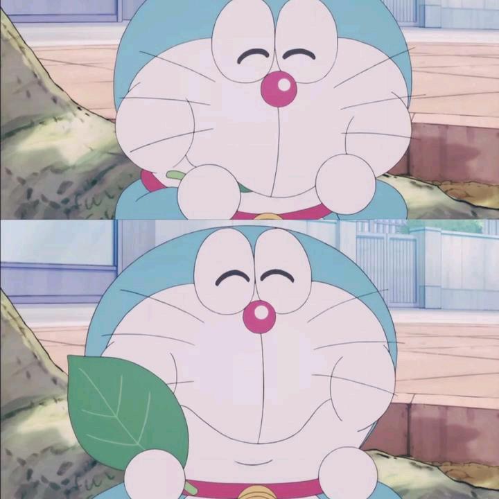 ……
