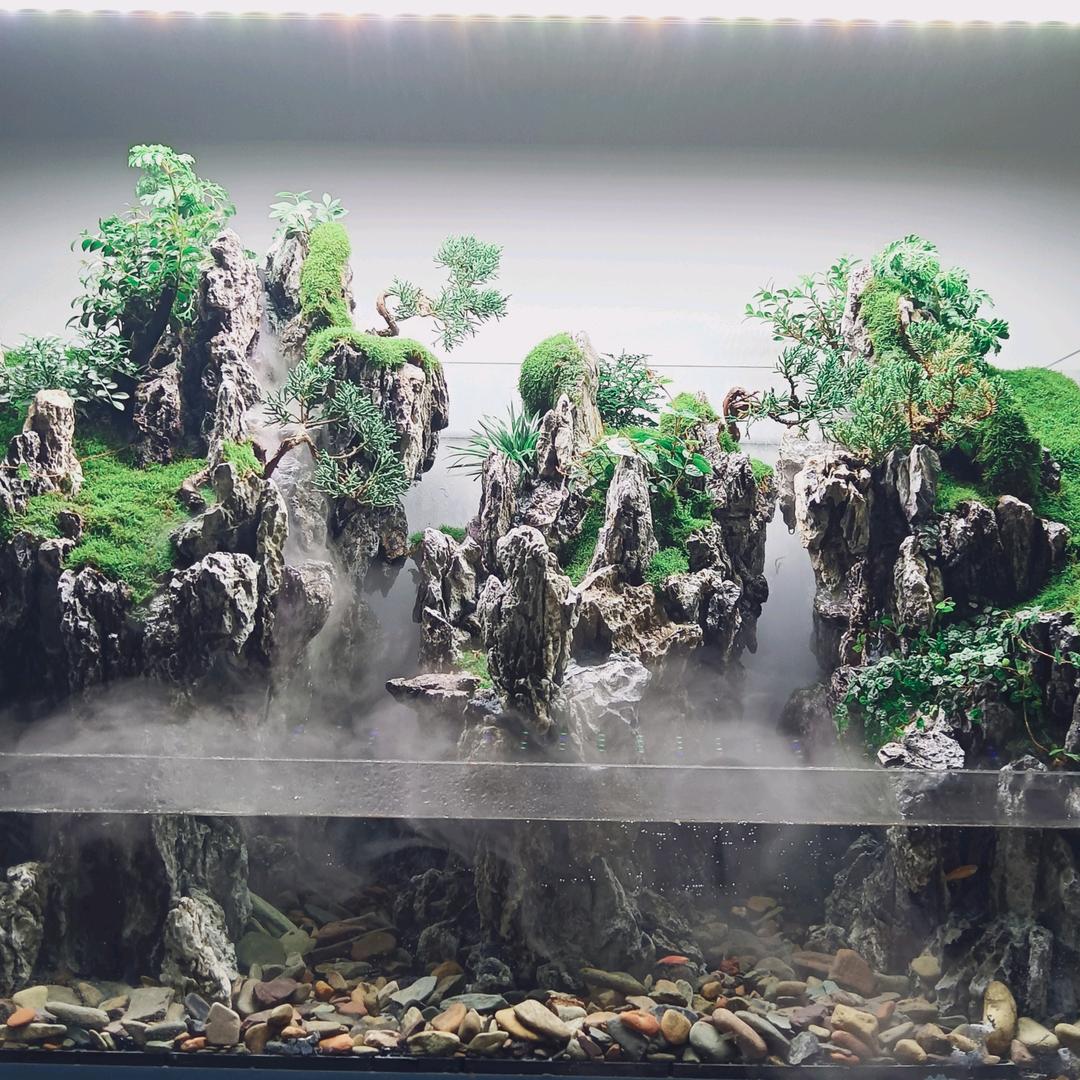 烟雨阁生态景观