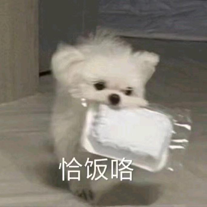 九十五