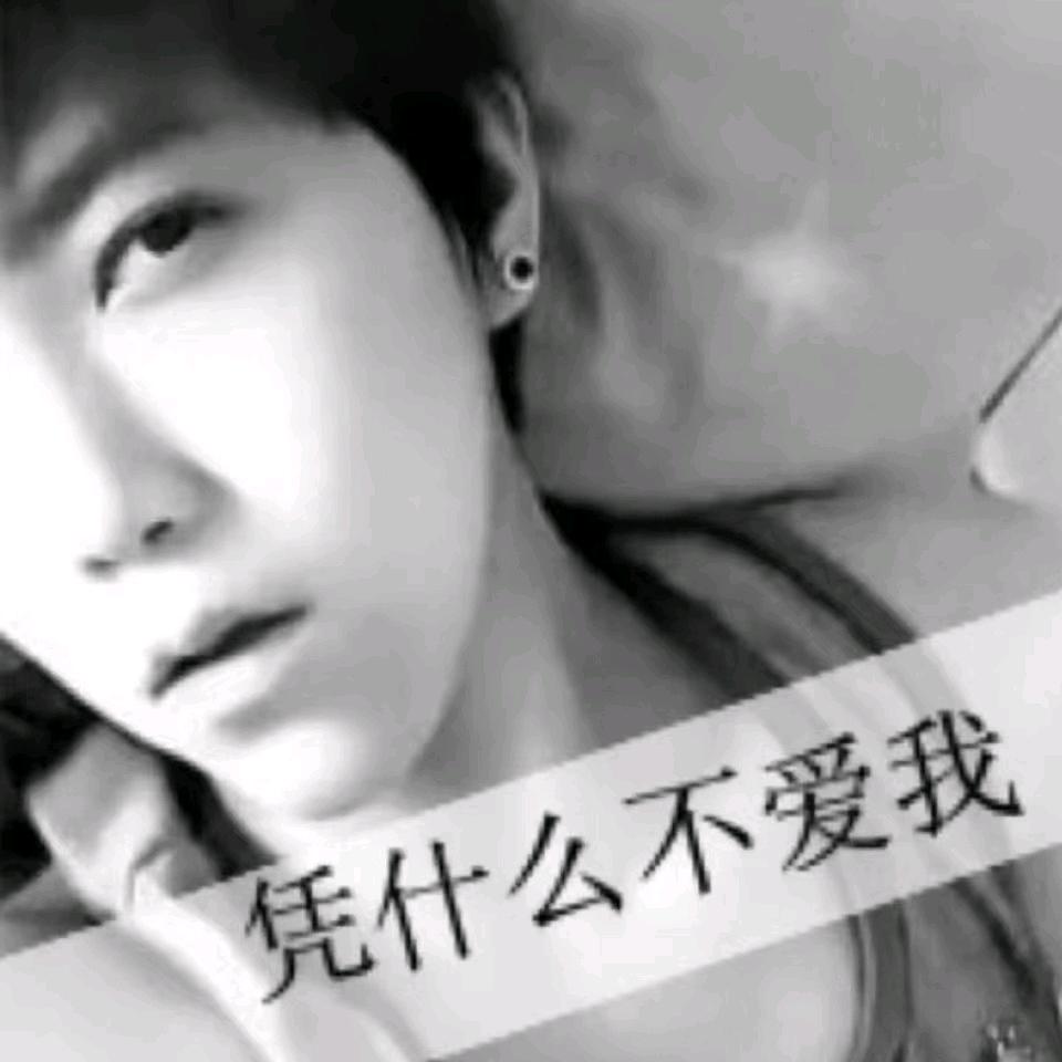 葶葶猪猪永不言弃