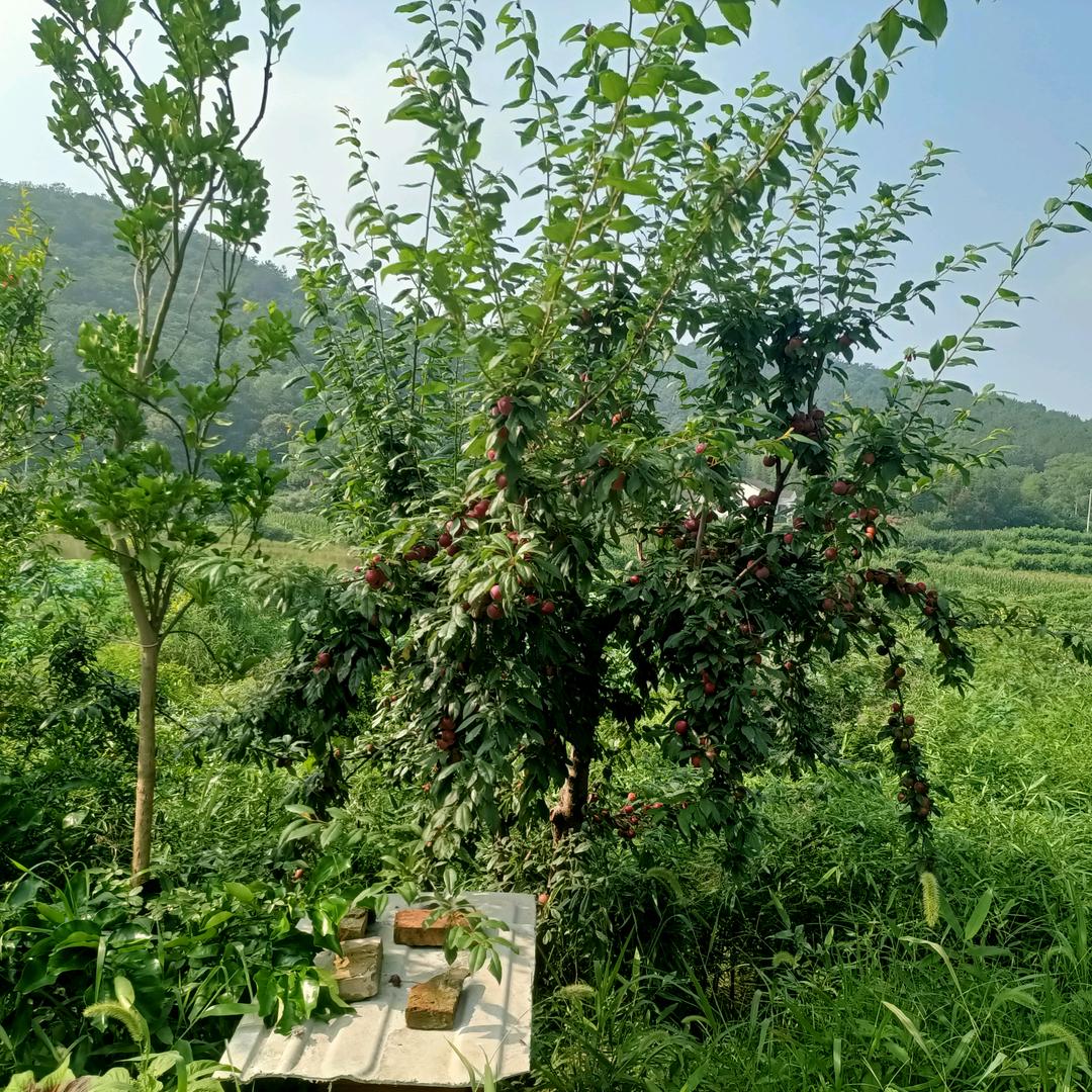 欢迎爱唱歌