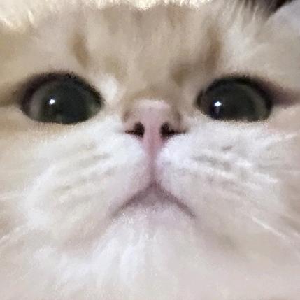 fufu