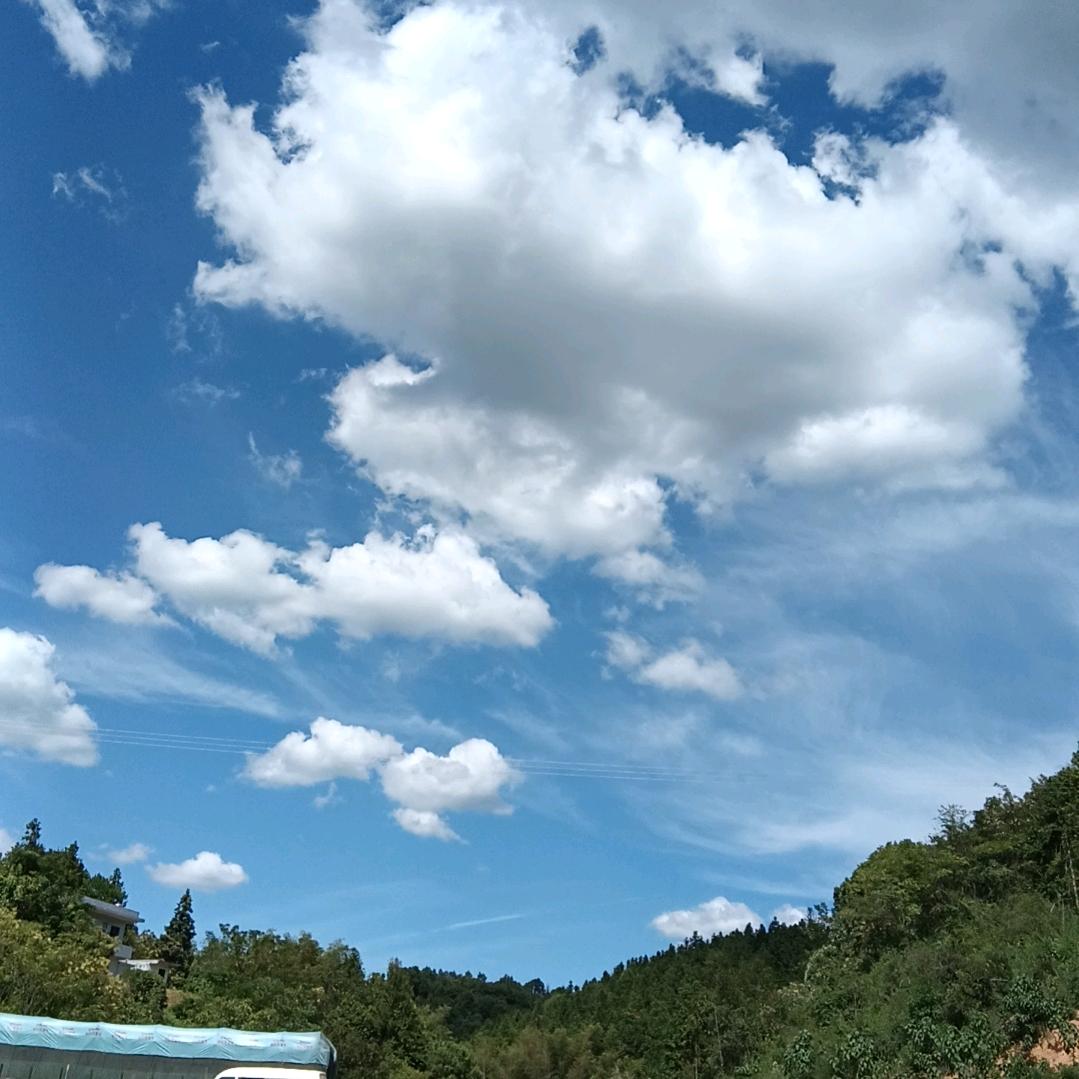 曹朝磊