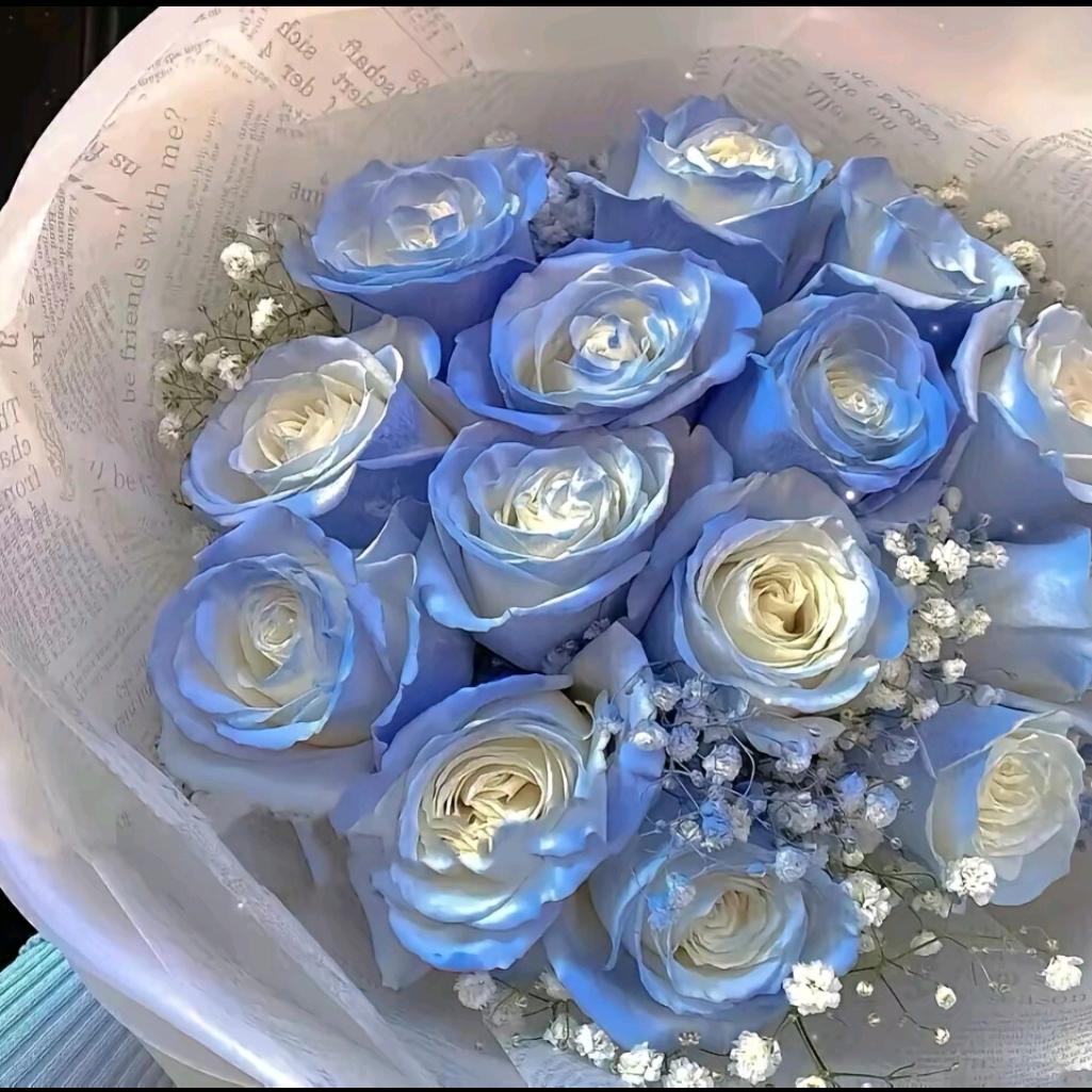 用户5325091068247