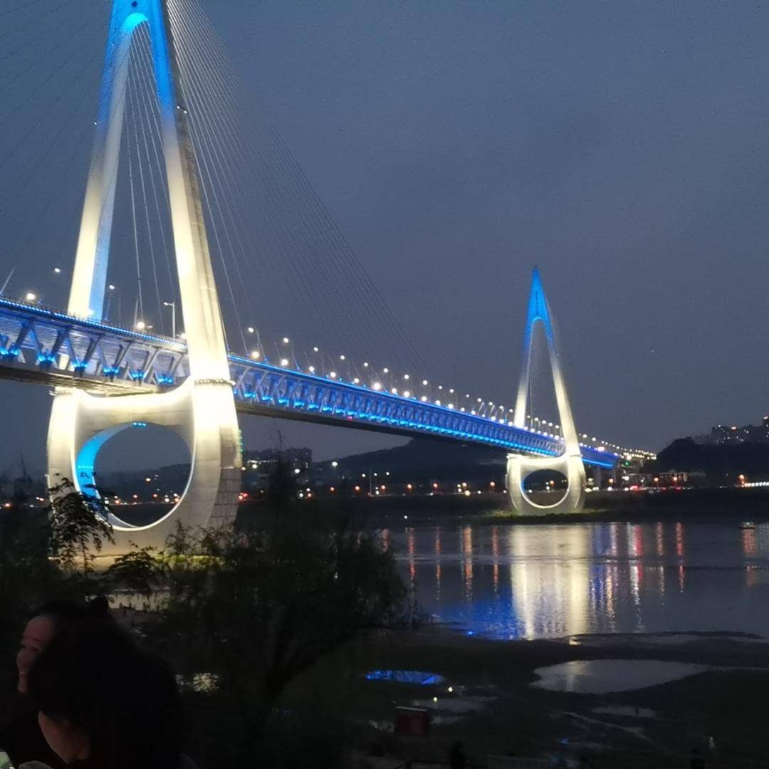 🌈 尼古拉斯米奇