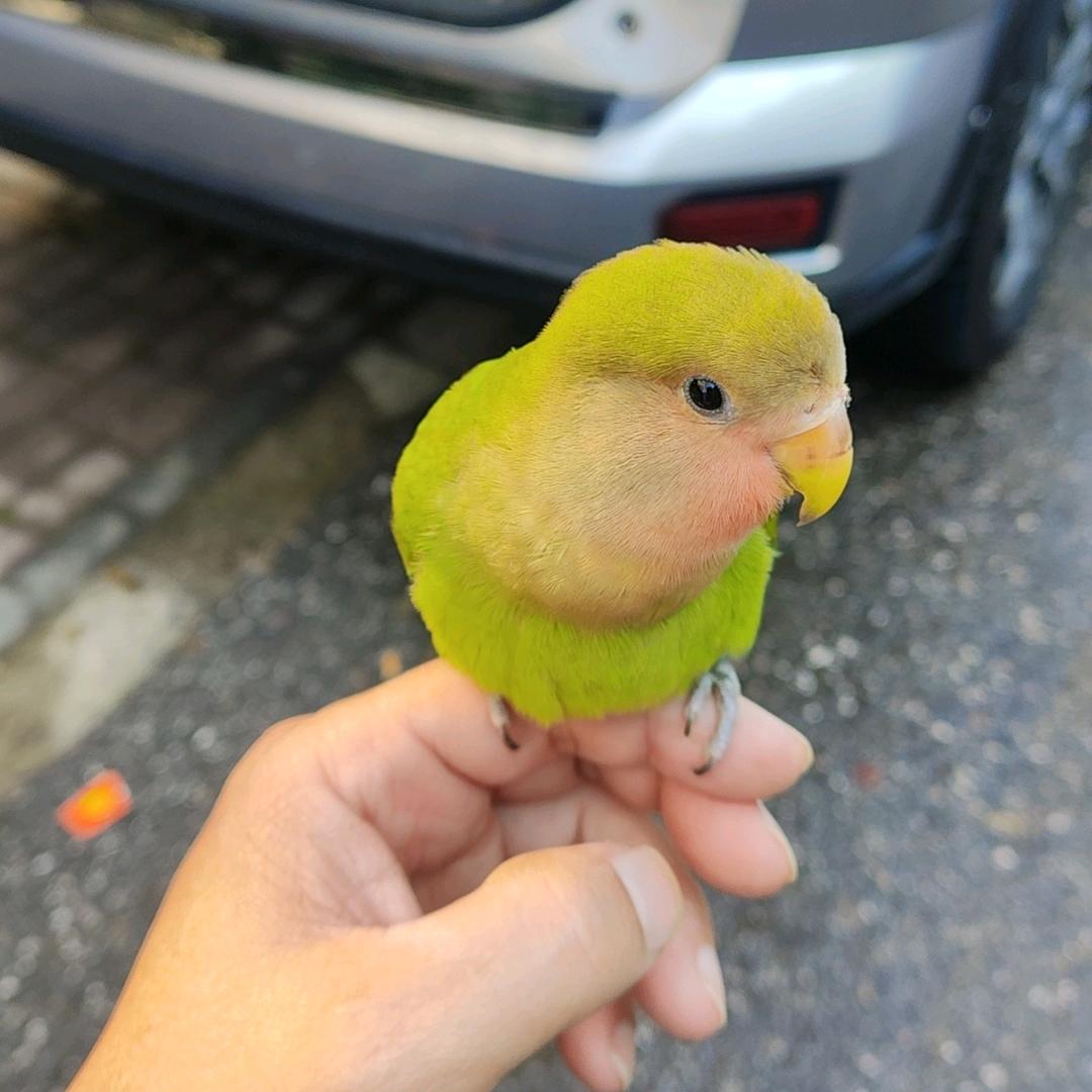 苏常在