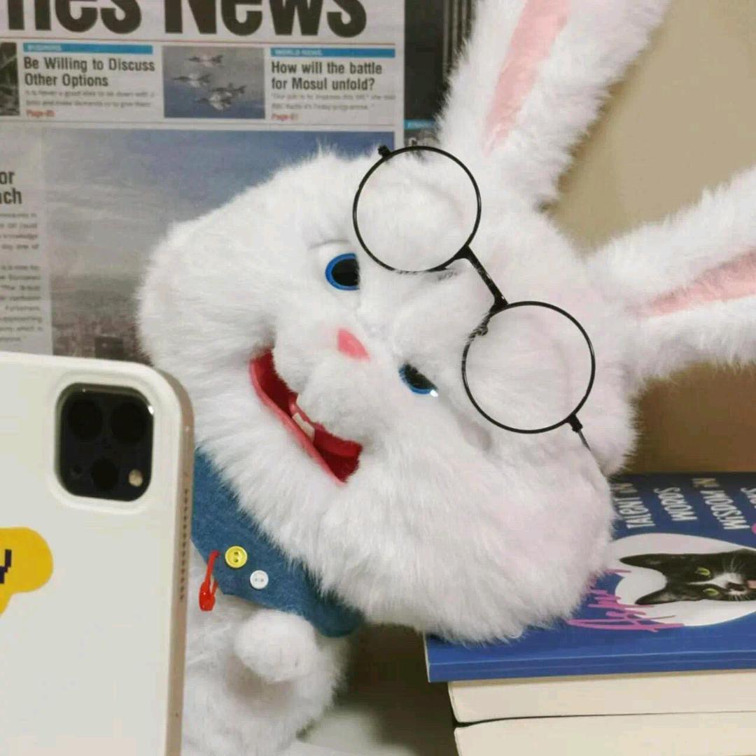 小兔