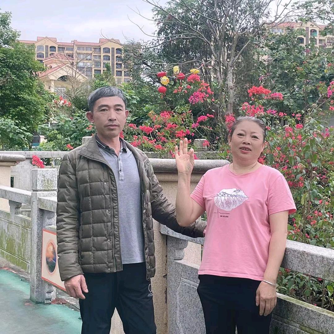 王风琴