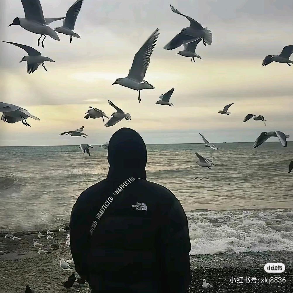 向前看，向前进