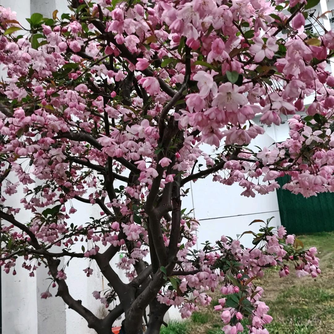 沉默