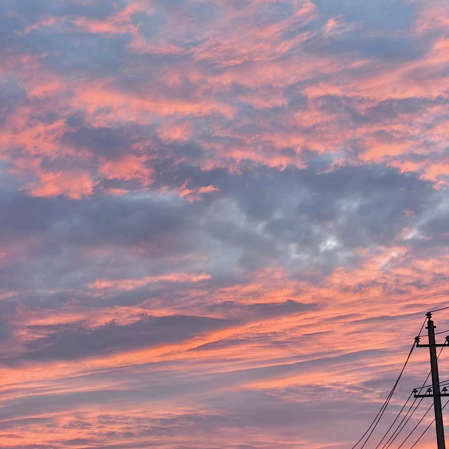 美丽的🍐🍐🍐