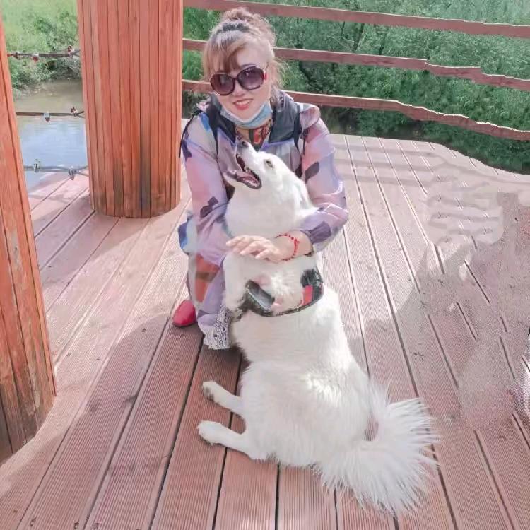 ꧔℘꯭清꯭雅꯭荷꯭韵꯭🌿🕊