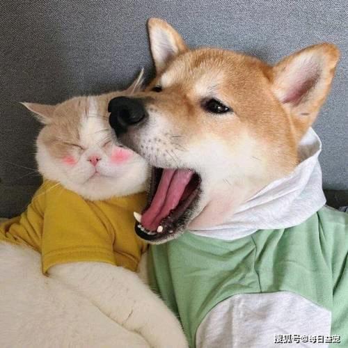 S--lěi