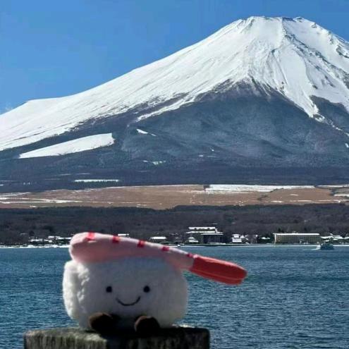 不烤红薯烤地瓜