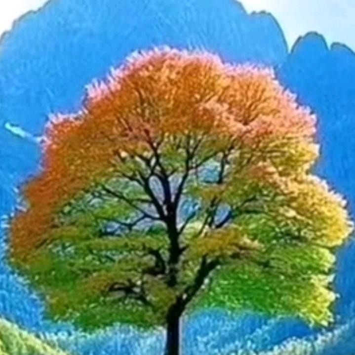花草时代