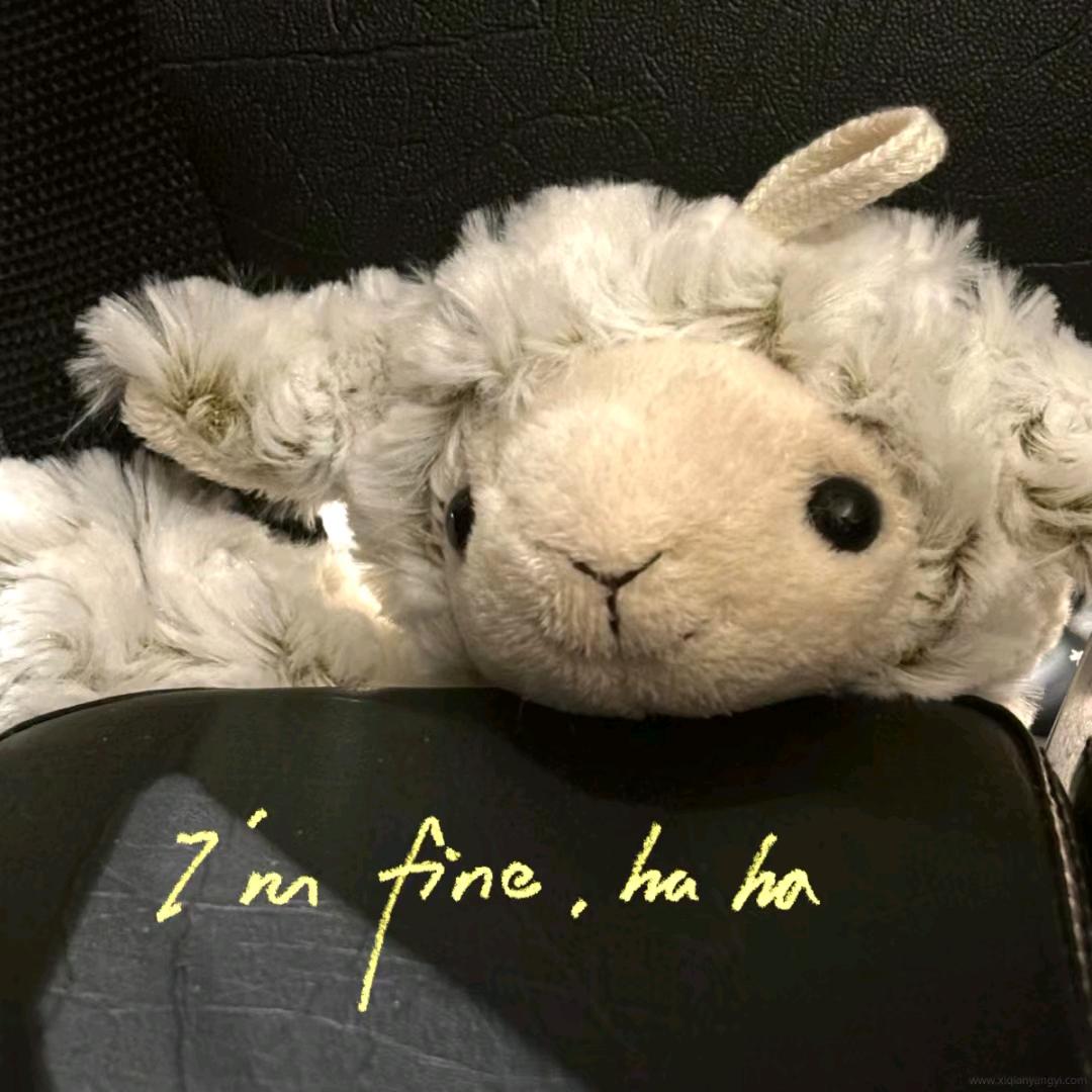 一只烊🐑🐑