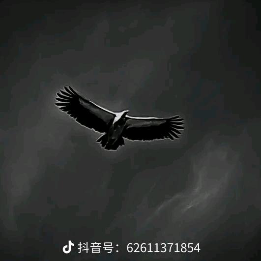 871376