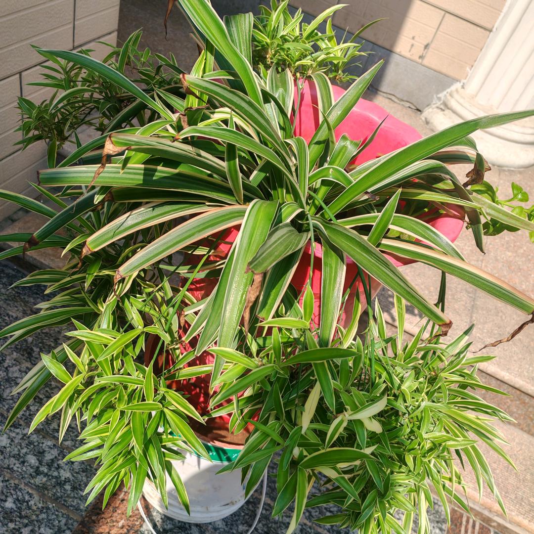 永恒得约定