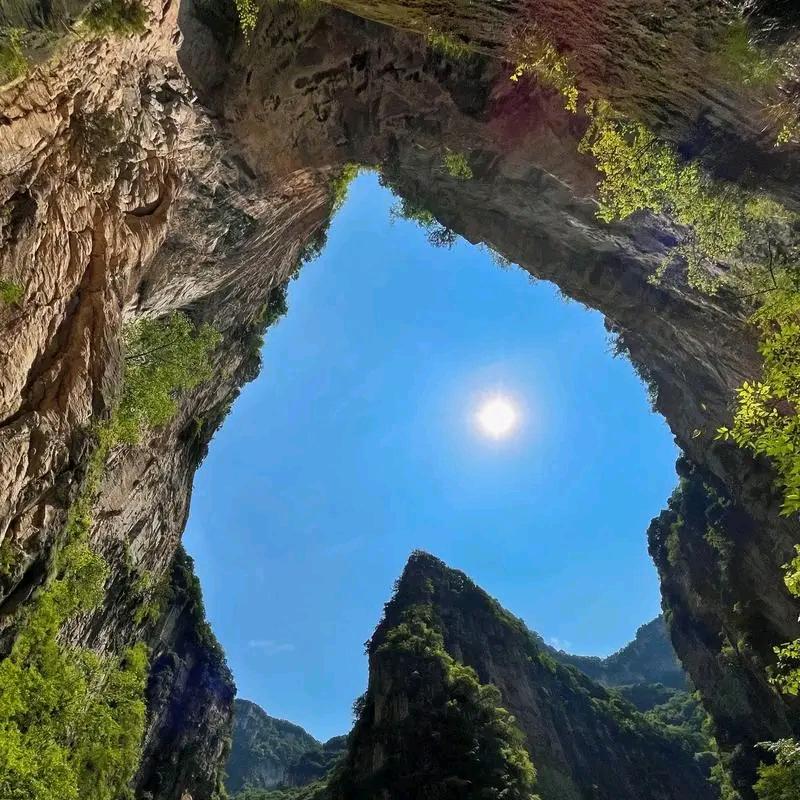 没有梦想的咸鱼