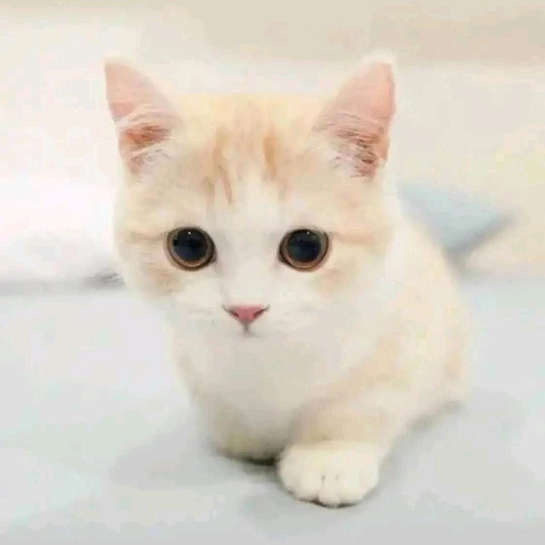 小小幸运