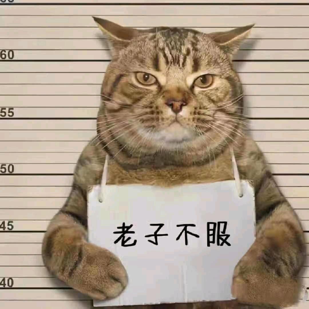 随丶心